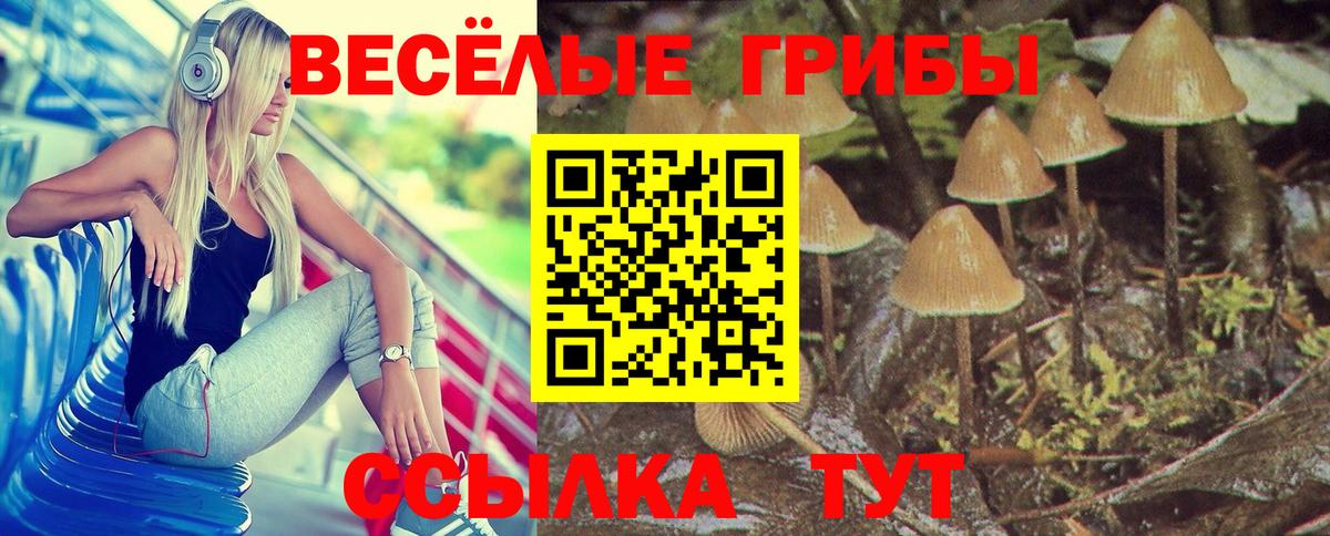 Псилоцибиновые грибы Cubensis  наркотики  Заинск  Вход с VPN 